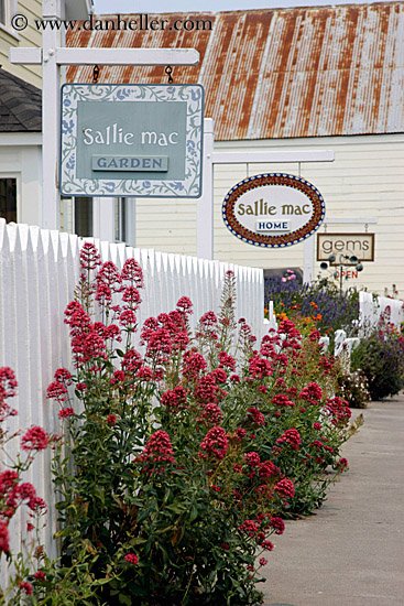 flowers-n-sallie-mac-sign-2.jpg