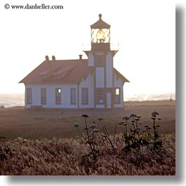 images/California/Mendocino/Lighthouse/Day/cabrillo-lighthouse-field-n-fog-01.jpg