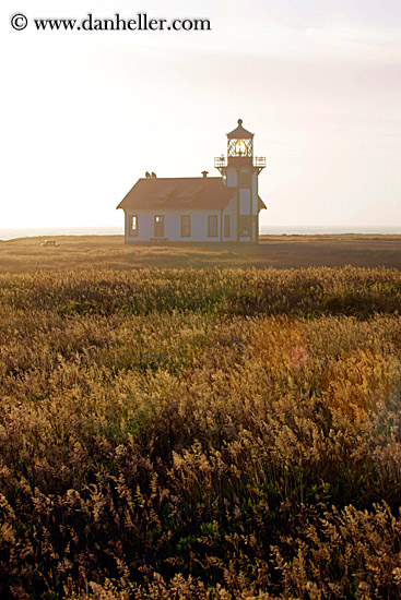 cabrillo-lighthouse-field-n-fog-04.jpg