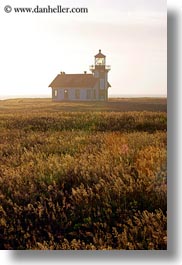 images/California/Mendocino/Lighthouse/Day/cabrillo-lighthouse-field-n-fog-04.jpg