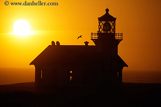lighthouse-silhouette-n-bird-1.jpg