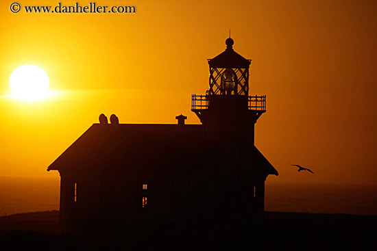 lighthouse-silhouette-n-bird-2.jpg