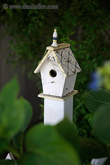 bird-house.jpg