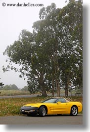 images/California/Mendocino/Misc/yellow-car-n-trees.jpg