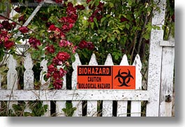images/California/Mendocino/Signs/biohazard-sign-n-flowers.jpg