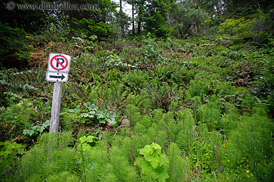 no_parking-sign-n-plants-2.jpg