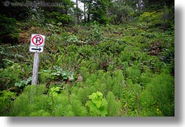 images/California/Mendocino/Signs/no_parking-sign-n-plants-2.jpg