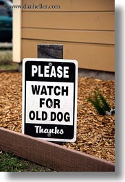 images/California/Mendocino/Signs/watch-for-old-dog.jpg