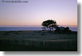 images/California/Mendocino/Trees/tree-house-dusk-sil3.jpg