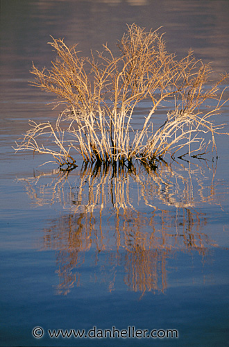 mono-lake-03.jpg