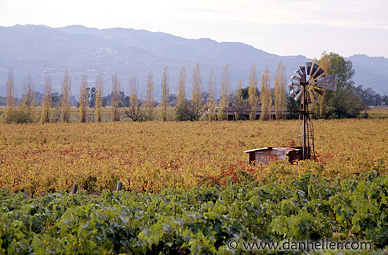 farm-windmill.jpg