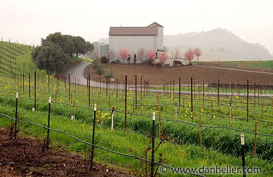 vineyard-house02.jpg