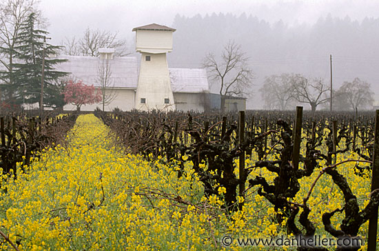 vineyard-house03.jpg