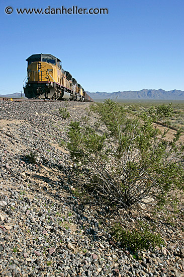 ylo-train-5.jpg