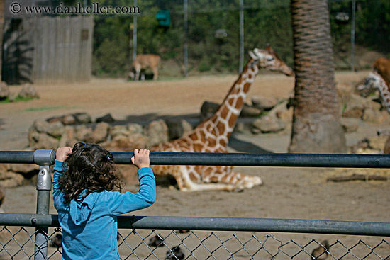 girl-looking-at-giraffe.jpg