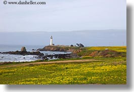 images/California/PigeonPointLighthouse/lighthouse-n-greenery-01.jpg