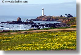 images/California/PigeonPointLighthouse/lighthouse-n-greenery-02.jpg