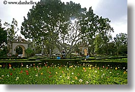 images/California/SanDiego/BalboaPark/sun-thru-trees-to-flowers.jpg
