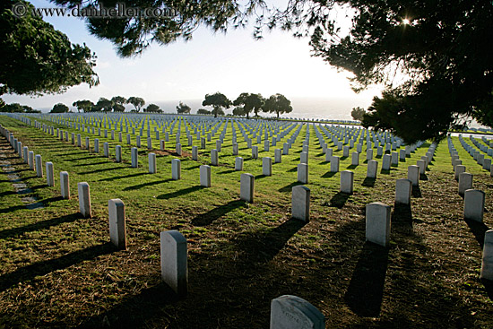 military-cemetary-n-trees-2.jpg