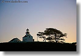 images/California/SanDiego/CabrilloNationalPark/old-point-loma-lighthouse-n-tree-1.jpg