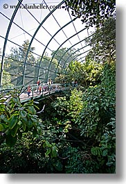 images/California/SanDiego/Zoo/plants-in-aviary.jpg