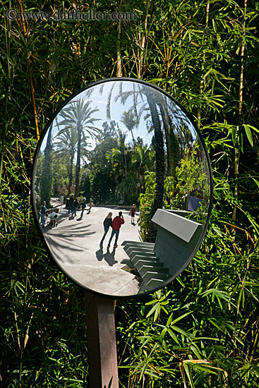 round-mirror-reflection-4.jpg