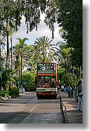 images/California/SanDiego/Zoo/tour-bus-n-trees.jpg