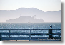 images/California/SanFrancisco/Alcatraz/alcatraz01.jpg