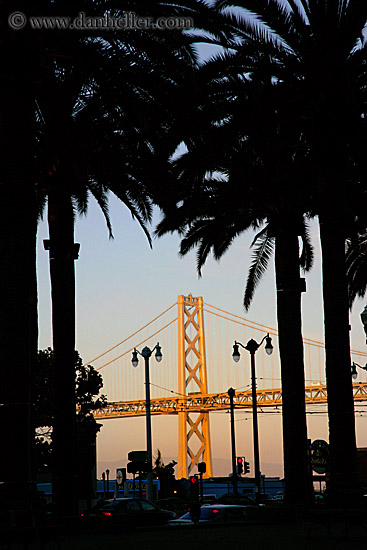 palm_trees-n-bay_bridge-1.jpg