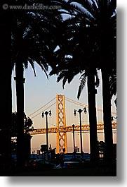 images/California/SanFrancisco/BayBridge/palm_trees-n-bay_bridge-1.jpg
