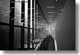 images/California/SanFrancisco/Buildings/DeYoungMuseum/de_young-stairs-1-bw.jpg