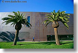 images/California/SanFrancisco/Buildings/DeYoungMuseum/de_young-wall-trees-ppl-3.jpg