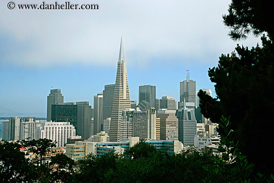 sf-cityscape-1.jpg