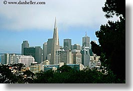 images/California/SanFrancisco/Cityscape/sf-cityscape-1.jpg