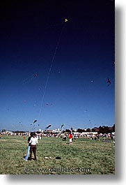 images/California/SanFrancisco/CrissyField/kite-flying.jpg
