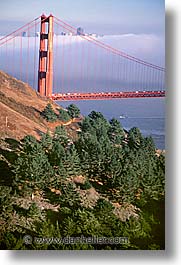 images/California/SanFrancisco/GoldenGate/ggb-02.jpg