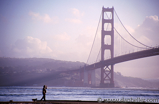 ggb-dog.jpg