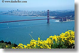 images/California/SanFrancisco/GoldenGate/ggb-flower.jpg