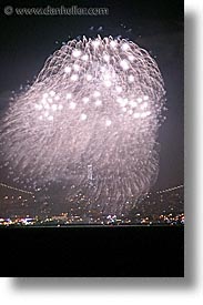 images/California/SanFrancisco/Nite/Fireworks/coit-tower-fireworks-1.jpg