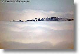 images/California/SanFrancisco/Ocean-Bay/fog-n-treespit-2.jpg