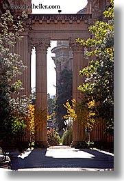 images/California/SanFrancisco/PalaceOfFineArt/palace_fine_art-pillars-trees-1.jpg