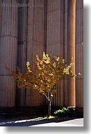 images/California/SanFrancisco/PalaceOfFineArt/palace_fine_art-pillars-trees-2.jpg