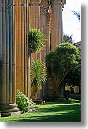 images/California/SanFrancisco/PalaceOfFineArt/palace_fine_art-pillars-trees-4.jpg