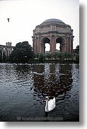 images/California/SanFrancisco/PalaceOfFineArt/palace_fine_art-swan.jpg
