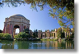 images/California/SanFrancisco/PalaceOfFineArt/palace_fine_art-tree.jpg
