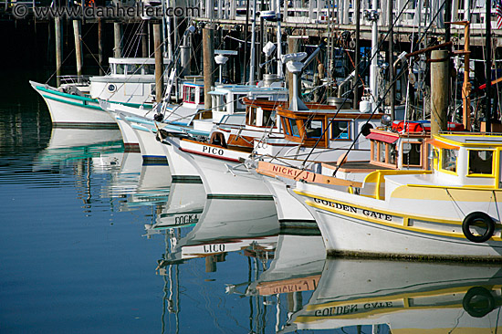 fishermans-wharf-boats-1.jpg
