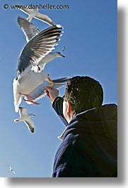 images/California/SanFrancisco/Piers/pigeon-feeding-2.jpg