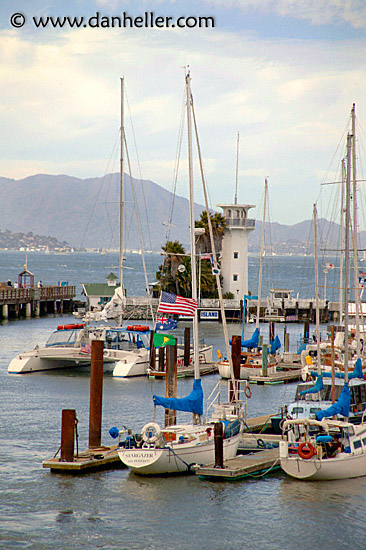 wharf-boats-5.jpg