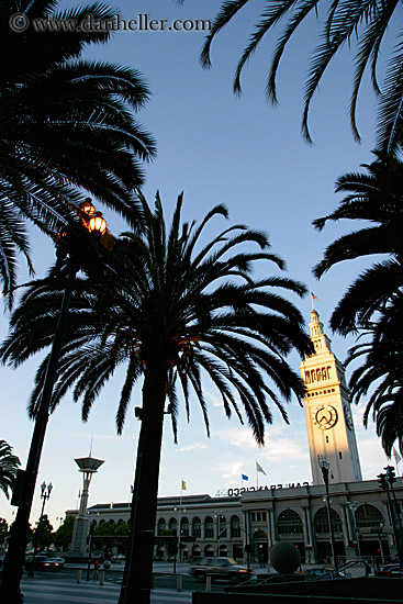 clock-tower-n-palm_trees-1.jpg