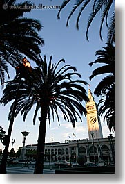 images/California/SanFrancisco/PortSF/clock-tower-n-palm_trees-1.jpg